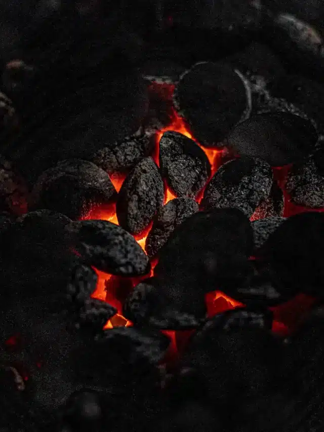 5 motivos para usar o carvão ativado