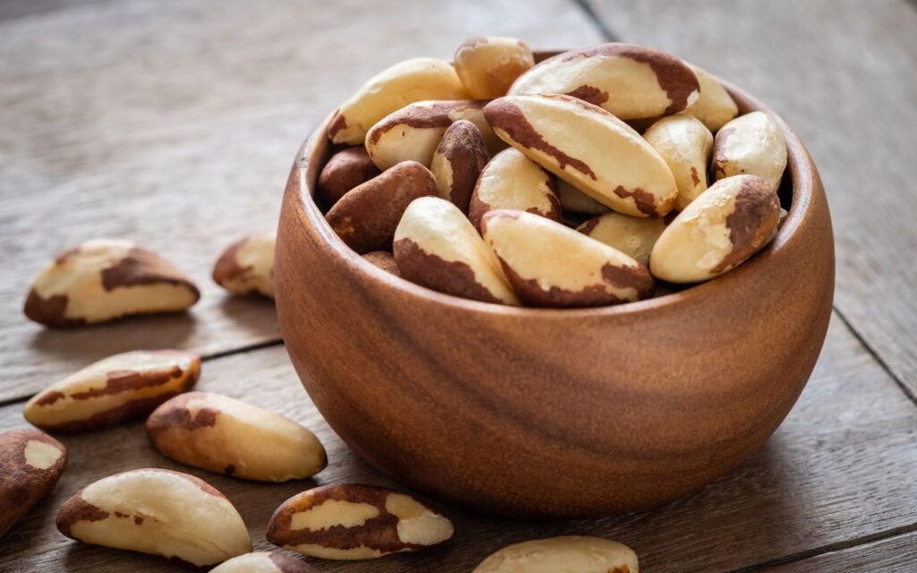 benef&iacute;cios da castanha do par&aacute;