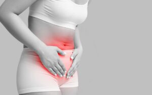 fases do ciclo menstrual